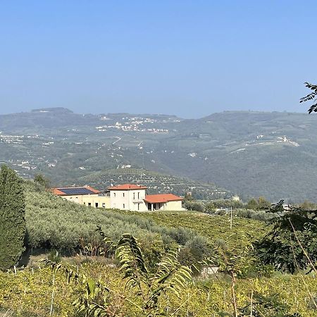 Suite La Torretta - Ca' Del Volo グレッツァーナ エクステリア 写真