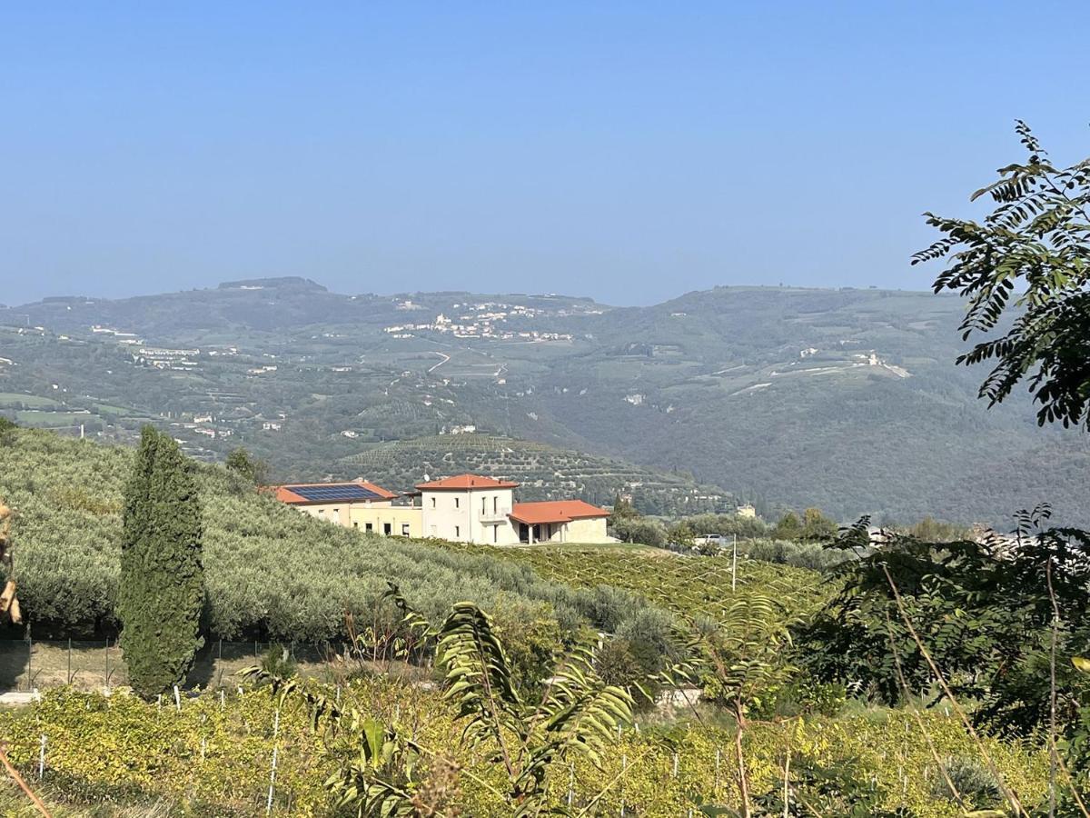 Suite La Torretta - Ca' Del Volo グレッツァーナ エクステリア 写真
