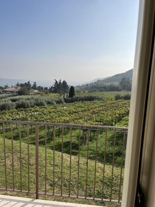 Suite La Torretta - Ca' Del Volo グレッツァーナ エクステリア 写真